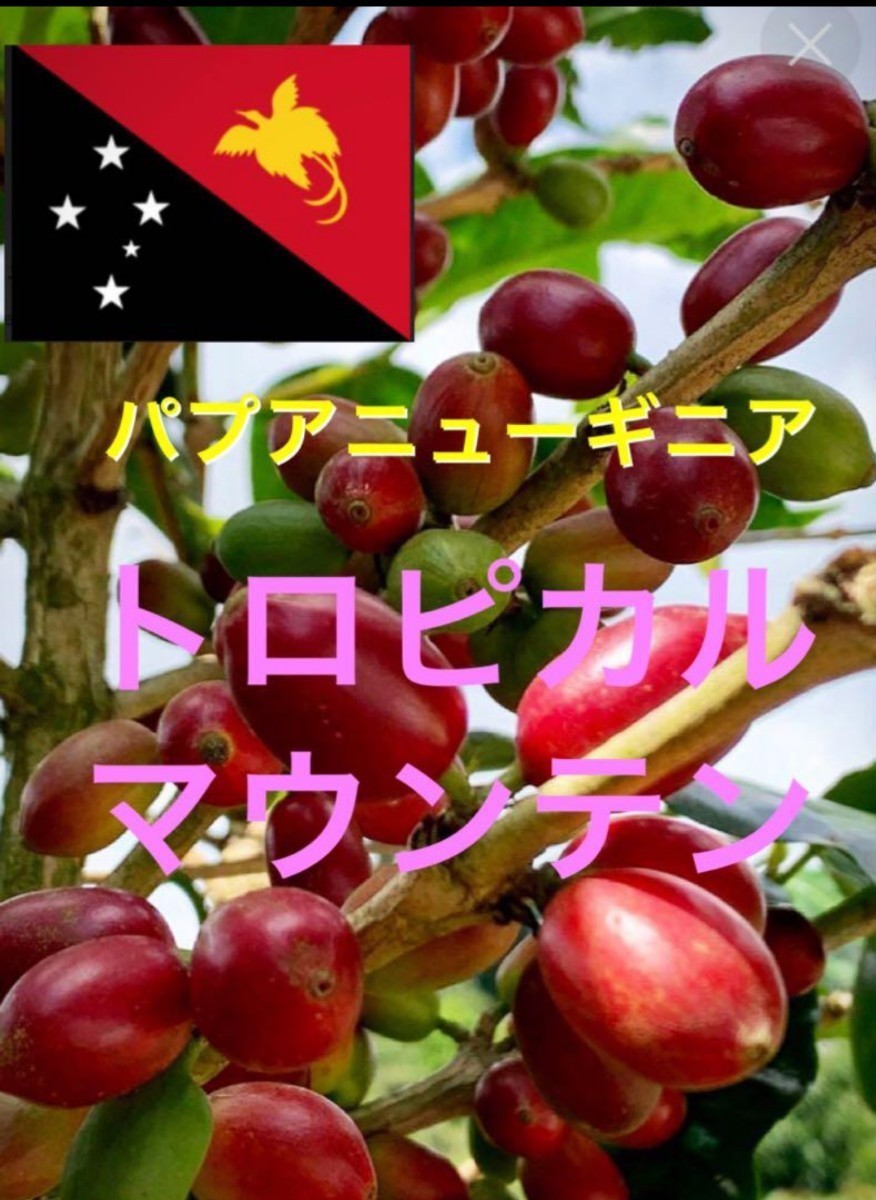 パプアニューギニア トロピカルマウンテン1kgコーヒー生豆！焙煎しておりません簡単なハンドピック済みです！フルーティーなコーヒー_画像1