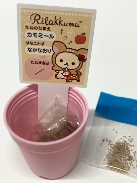 未使用 新品 リラックマ 食玩 リラックマ カフェ ミニトレー ポット チャーム マスコット カモミール種 ５個セットの画像8