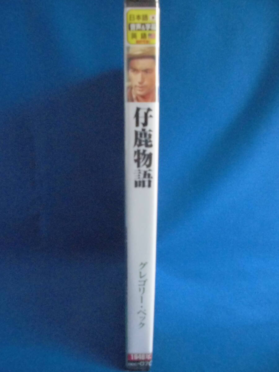 DVD　「仔鹿物語」　1946年　グレゴリー・ペック　　　セル版　　未開封　　訳アリ品_画像3