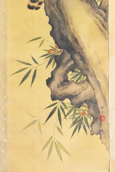 K3348 copy katsura tree boat [ hawk map ] silk book@. box flowers and birds Japanese picture China picture antique .. axis hanging scroll old fine art art person . wrote thing 