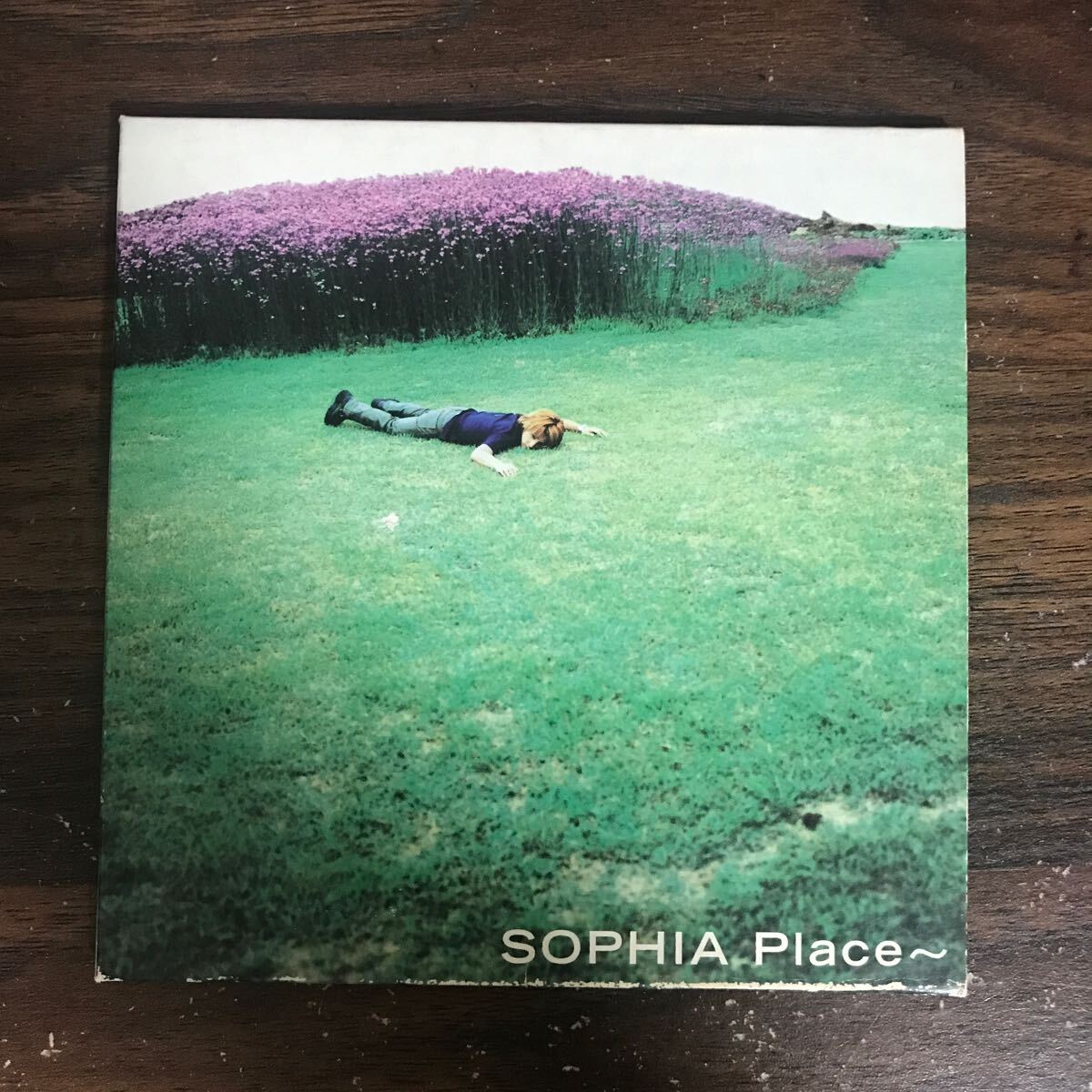 D1033 中古CD100円 SOPHIA Place～_画像1