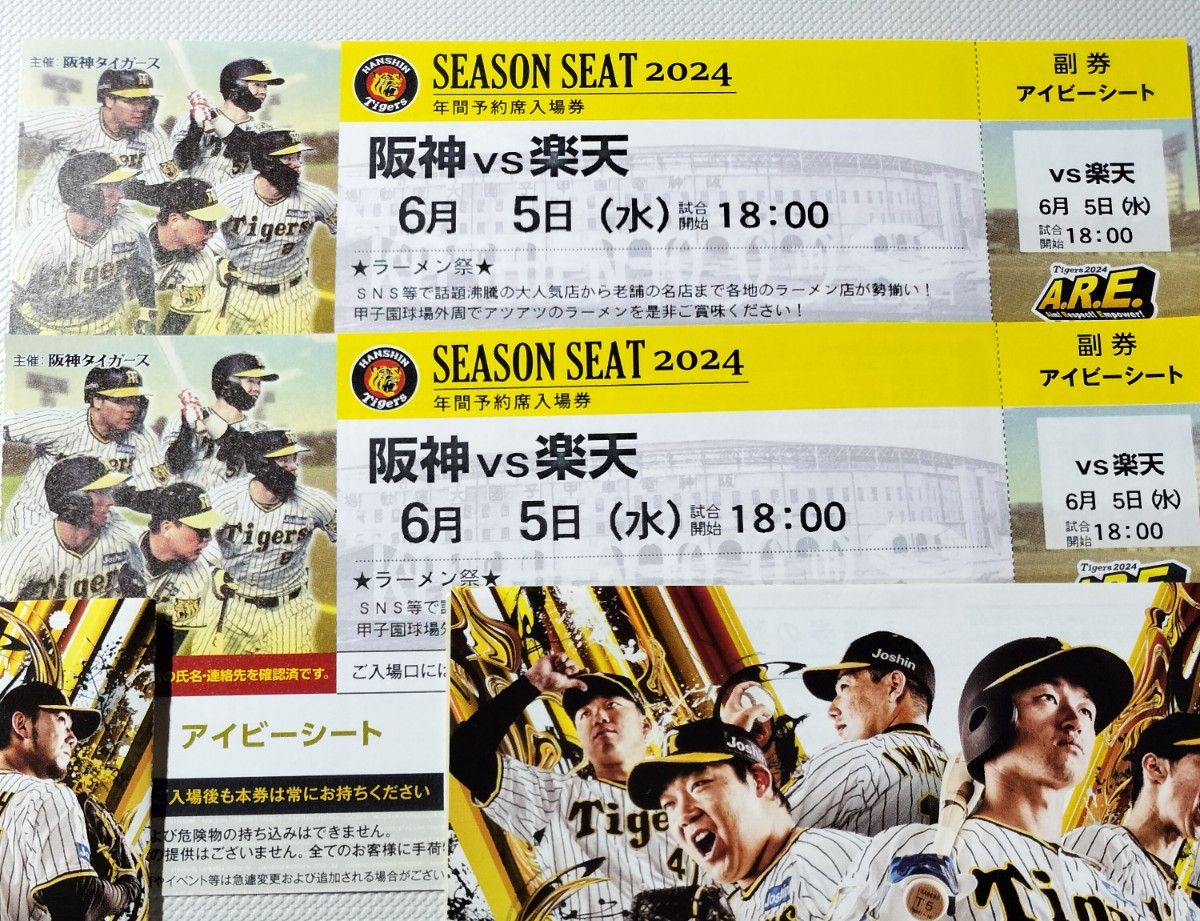 6月5日(水)阪神甲子園 阪神vs楽天戦 チケット 2枚セット (JERA 6月5日(水)阪神甲子園 阪神vs楽天戦 チケット 2枚セット (JERA