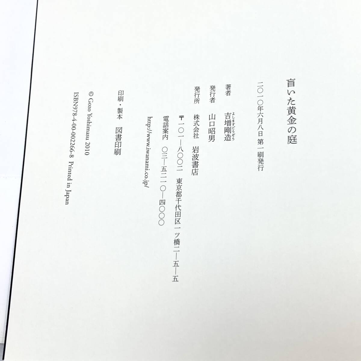 ＊盲いた黄金の庭 吉増剛造 岩波書店 決定版写真集 言葉のシャッターが下りる瞬間 アート写真 詩人_画像6