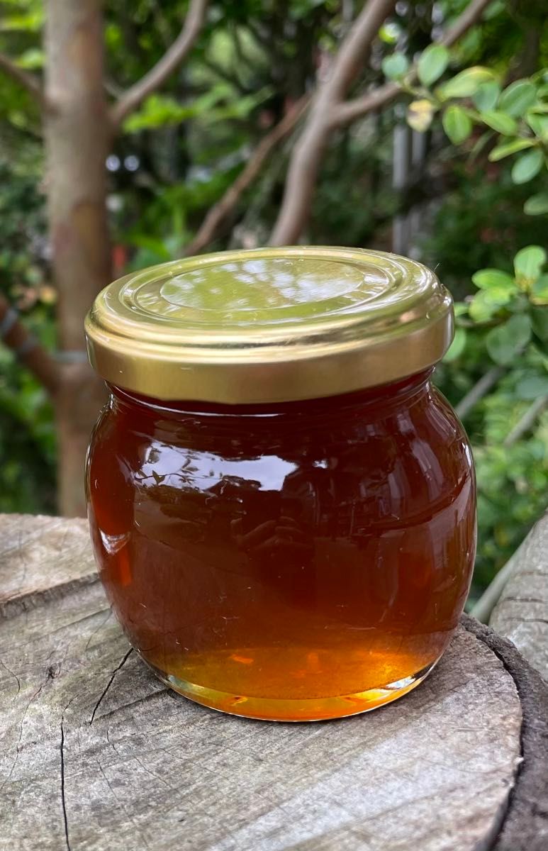 日本みつばちの蜂蜜　「幻の百花蜜」135g 1本　越冬熟成濃厚蜜　フルーティー味　垂れ蜜濾過採取　無添加