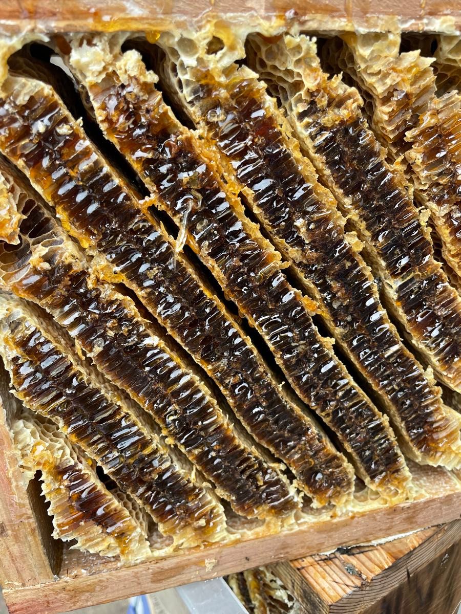 日本みつばちの蜂蜜　「幻の百花蜜」135g 1本　越冬熟成濃厚蜜　フルーティー味　垂れ蜜濾過採取　無添加