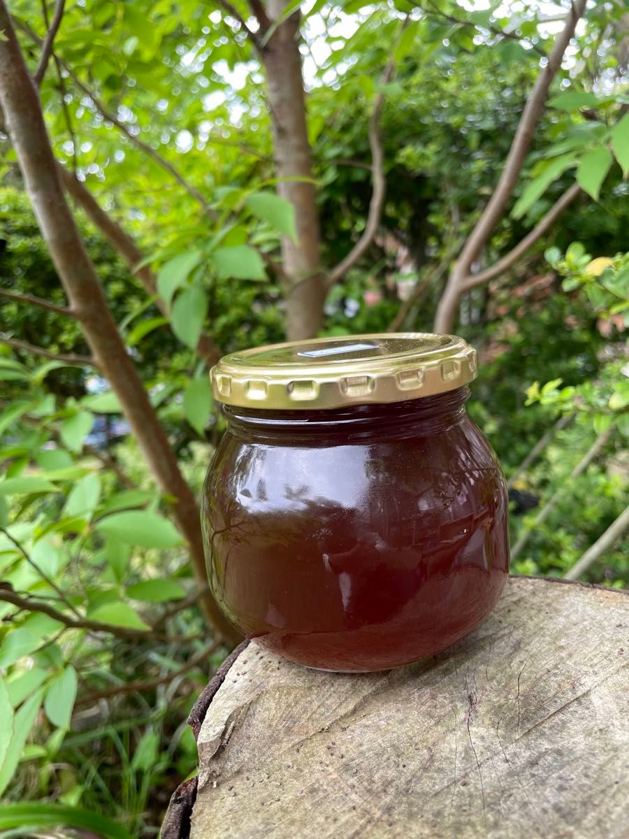 日本みつばちの蜂蜜　「幻の百花蜜」380g 1本　越冬熟成濃厚蜜　垂れ蜜濾過採取法　100%純粋蜜