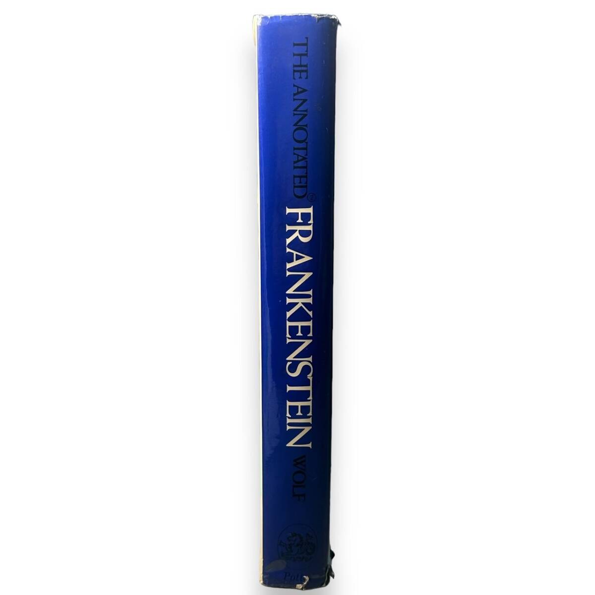 E-118【洋書】「Annotated Frankenstein」Rh Value Publishing (著)　注釈付きフランケンシュタイン　絶版本_画像3