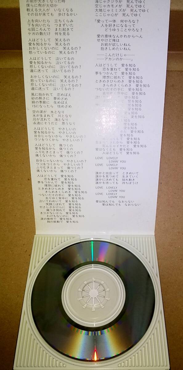 【激レア　稀少盤】河内家菊水丸 8cmCD LOVE / HAPPY_画像4