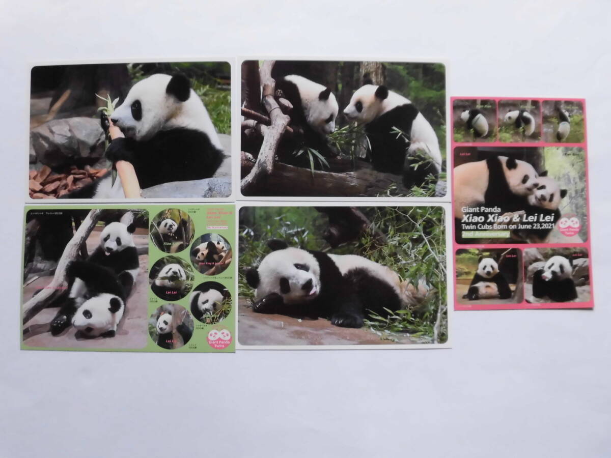 【新品・未開封】上野動物園 UENOZOOLOGICAL GARDENS ポストカードセット ★1セット★ ポストカード・パンダシール付_抜粋して記載してあります。