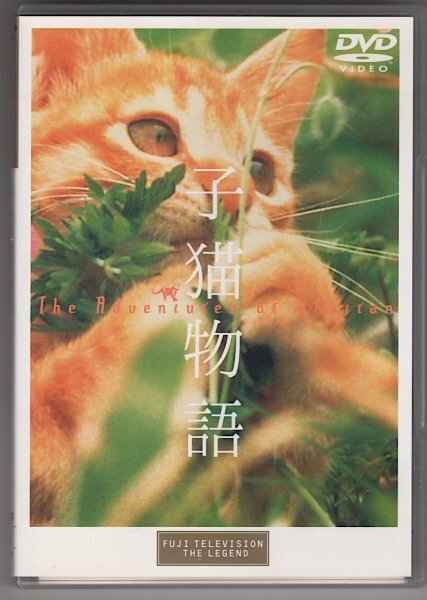 【DVD】子猫物語_画像1