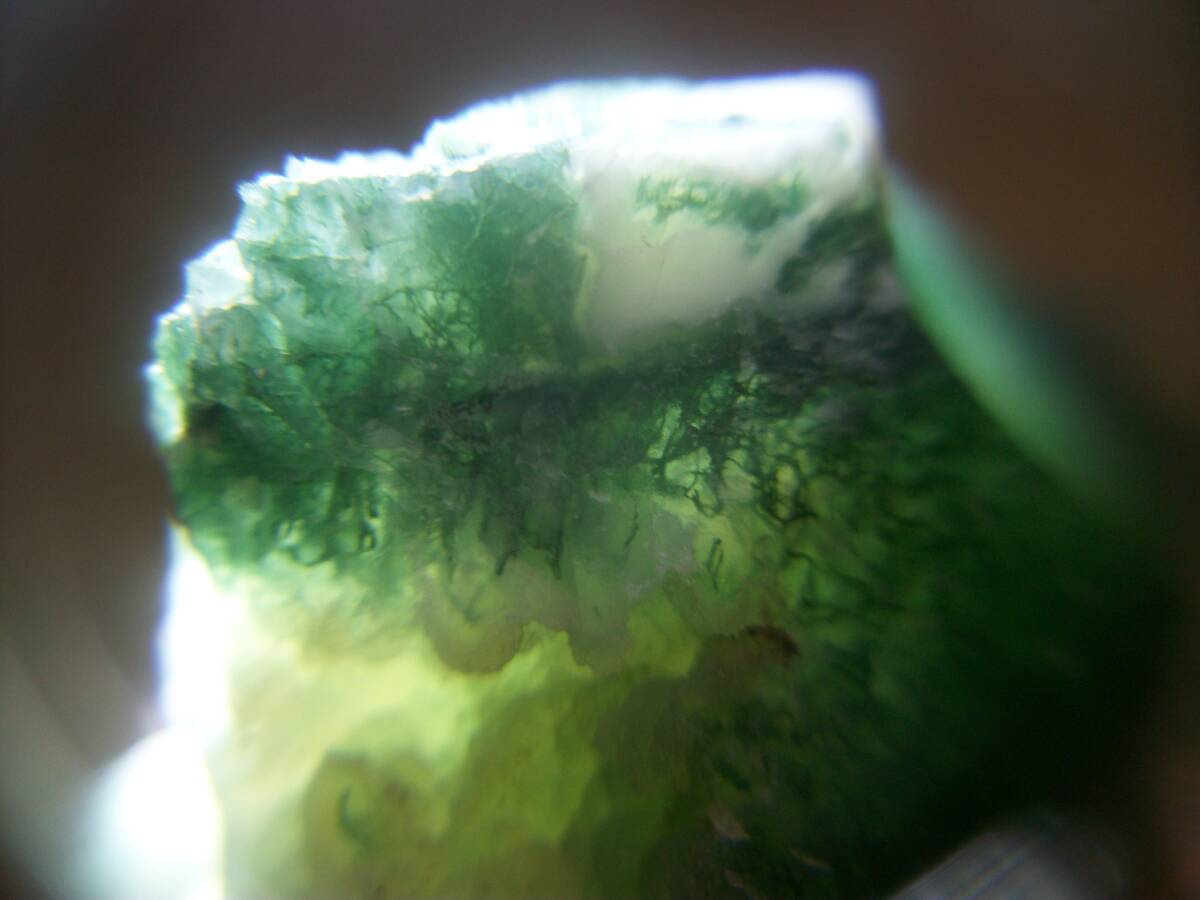 外国産鉱物　グリーン　ジャスパー　緑玉髄　中型　定型外発送_画像1