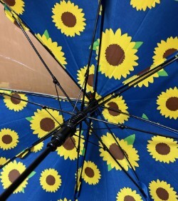  Jump umbrella for children blue hi around pattern 