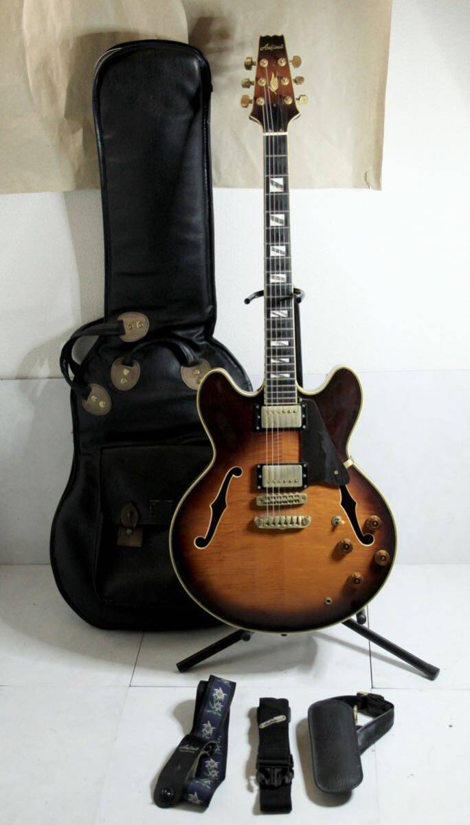 ARIA PRO II アリア プロ モデル TA-DLX ギターストラップ エレキ エレキギター 楽器 ソフトケース付き 弦楽器 の画像1