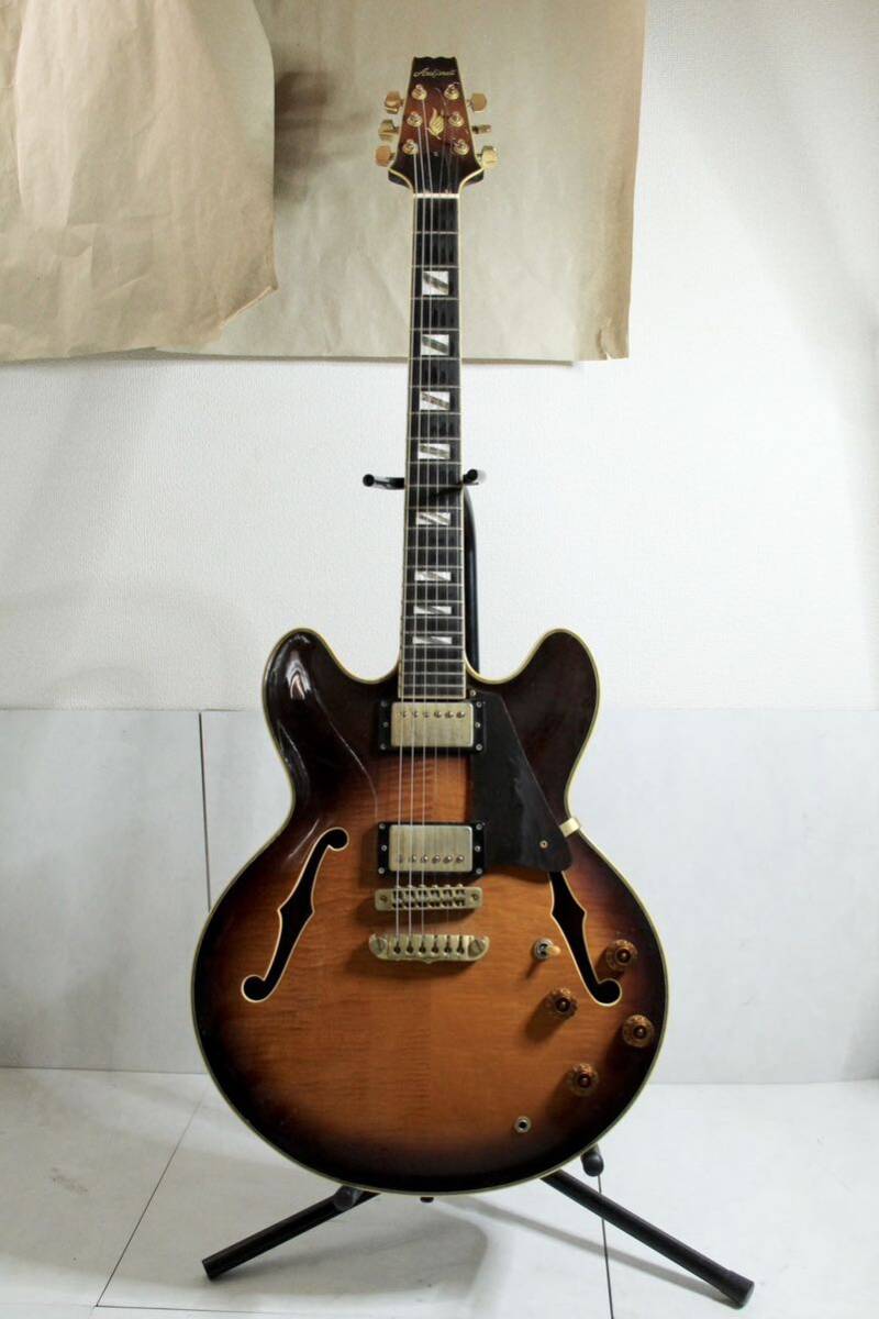 ARIA PRO II アリア プロ モデル TA-DLX ギターストラップ エレキ エレキギター 楽器 ソフトケース付き 弦楽器 の画像2