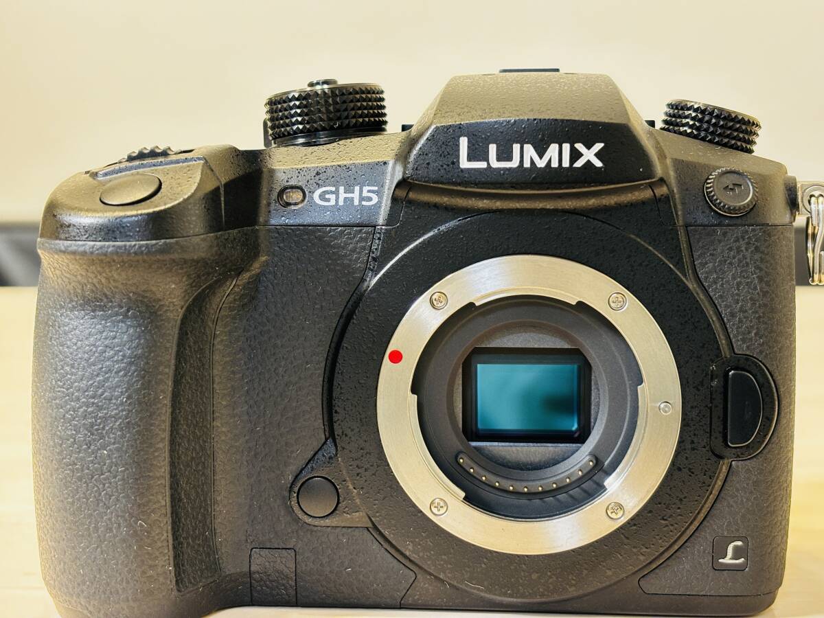 ★美品★Panasonic LUMIX DC-GH5 ボディ　パナソニック ミラーレス一眼カメラ ルミックス　V-Log L拡張機能済み_画像2