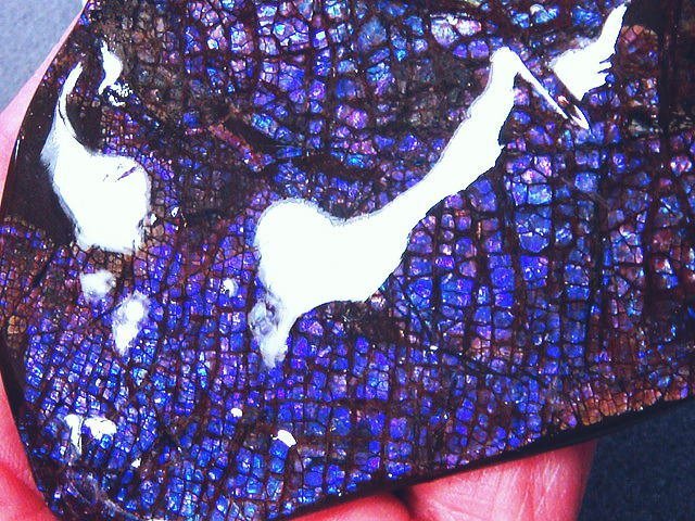 化石 アンモライト 青、紫！寒色！パステルカラー！巨大！オパールの様な発色！神秘的 ジュエリー 宝石 化石 原石 鉱物 標本 観賞石_画像8