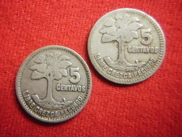 ♭世界の銀貨 REPUBLICA DE GUATEMALA 5 CENTAVOS (.720 silver) ８枚一括 外径約15.9㎜～ 総量目約12.55g 中古並品～の画像6