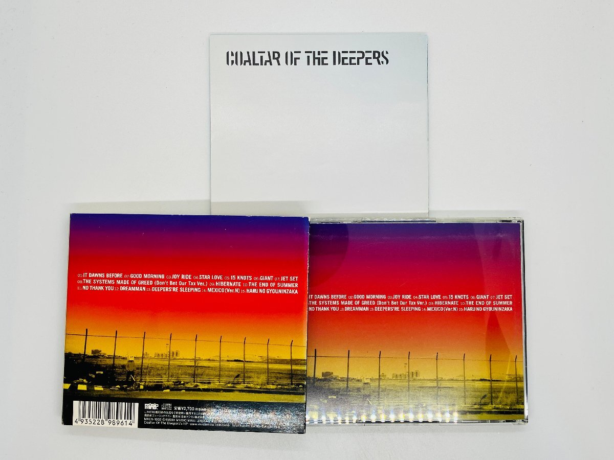 即決CD COALTAR OF THE DEEPERS NO THANK YOU 初回限定盤 スリーブ付き Y01の画像2
