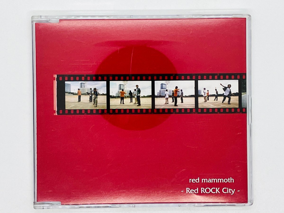 即決CD Red Mammoth / Red Rock City マイナーリーグ ハードコア Y50_画像1