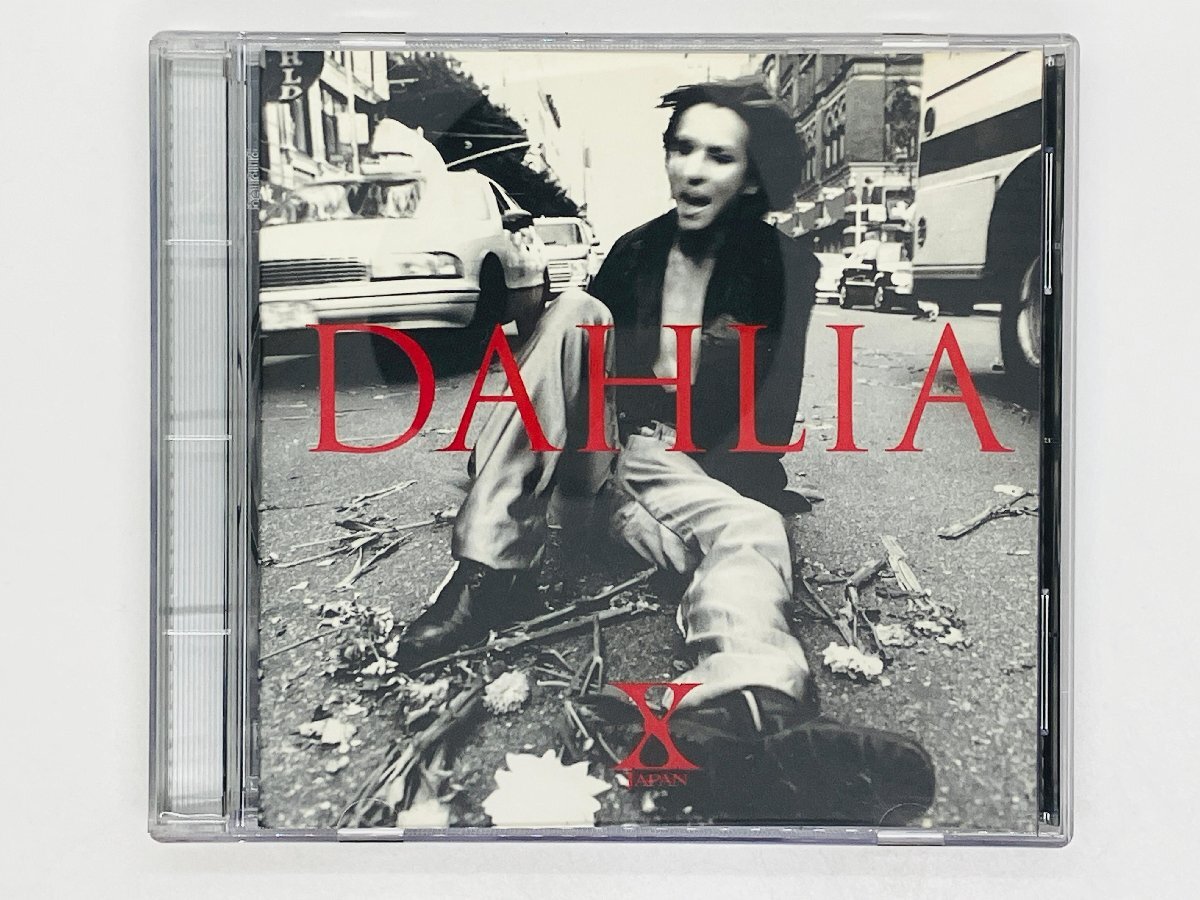 即決CD X JAPAN ★ DAHLIA / エックスジャパン SCARS , Rusty Nail Tears DRAIN アルバム Y49の画像1