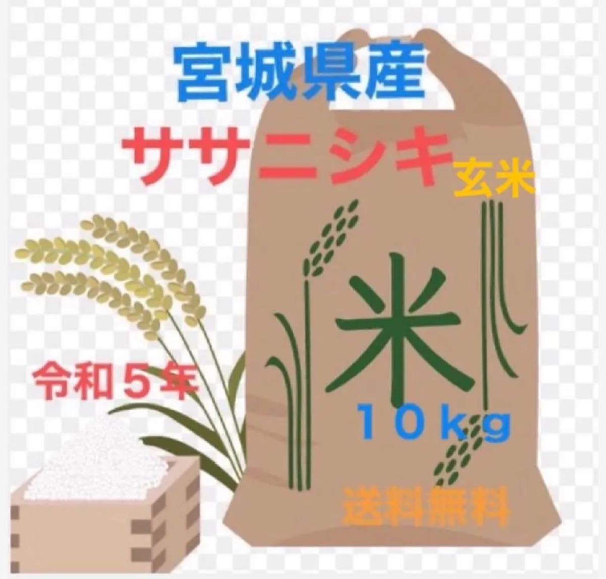 宮城県産ササニシキ　令和５年１０ｋｇ玄米　送料無料