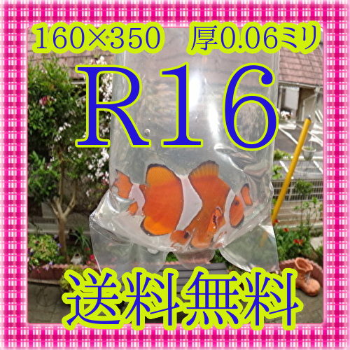 R16-100 sheets circle bottom vinyl sack packing sack aquarium fish vinyl sack mail service free shipping 
