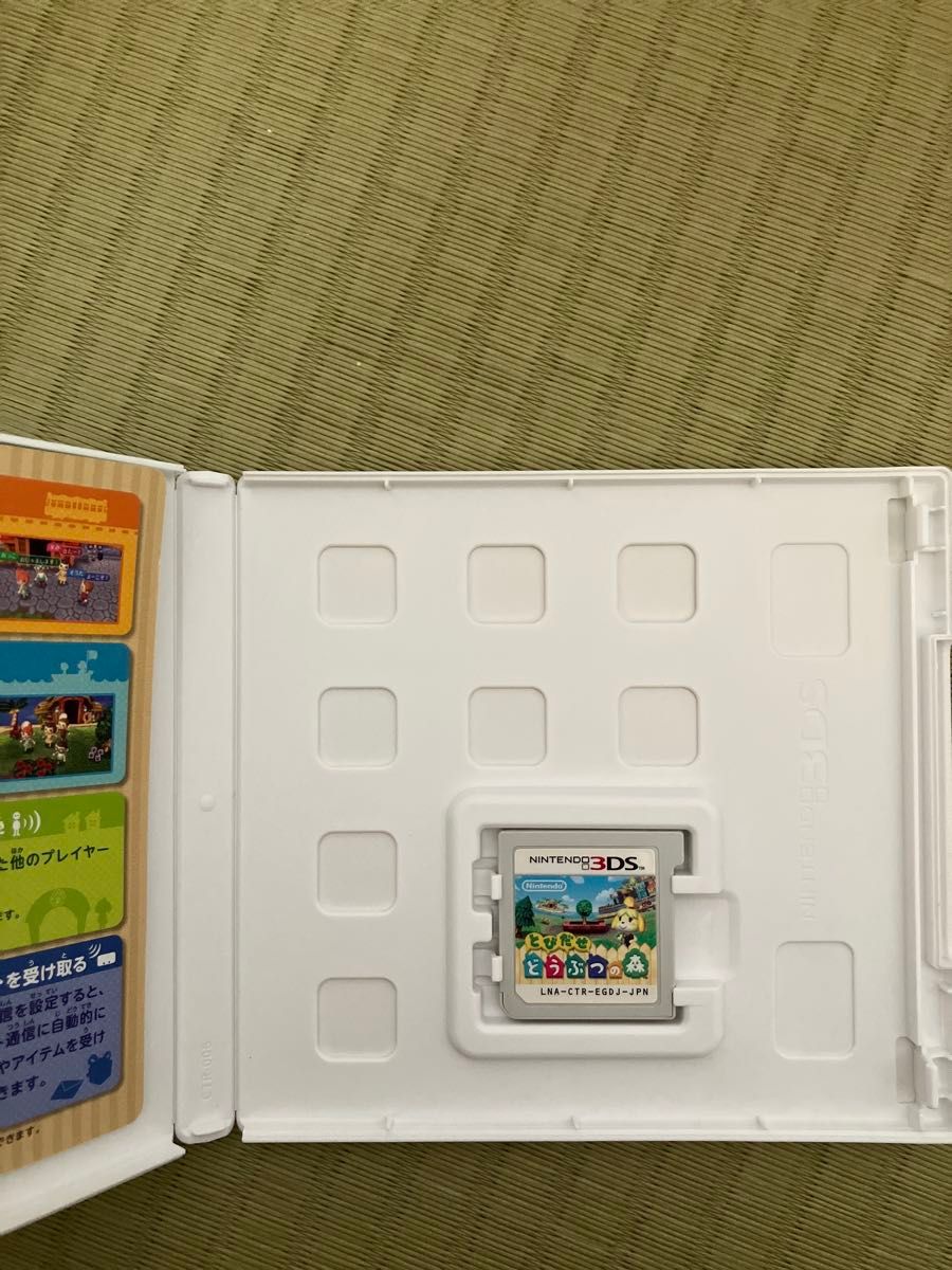 とびだせどうぶつの森 3DS ソフト どうぶつの森 3DSソフト ゲームソフト