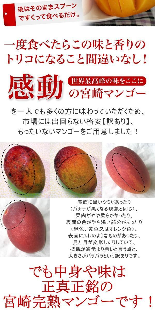 3個出品 予約 訳あり 宮崎県産 完熟アップルマンゴー 宮崎マンゴー 約1kg 6月中旬頃より出荷予定 さんきん 1円の画像6