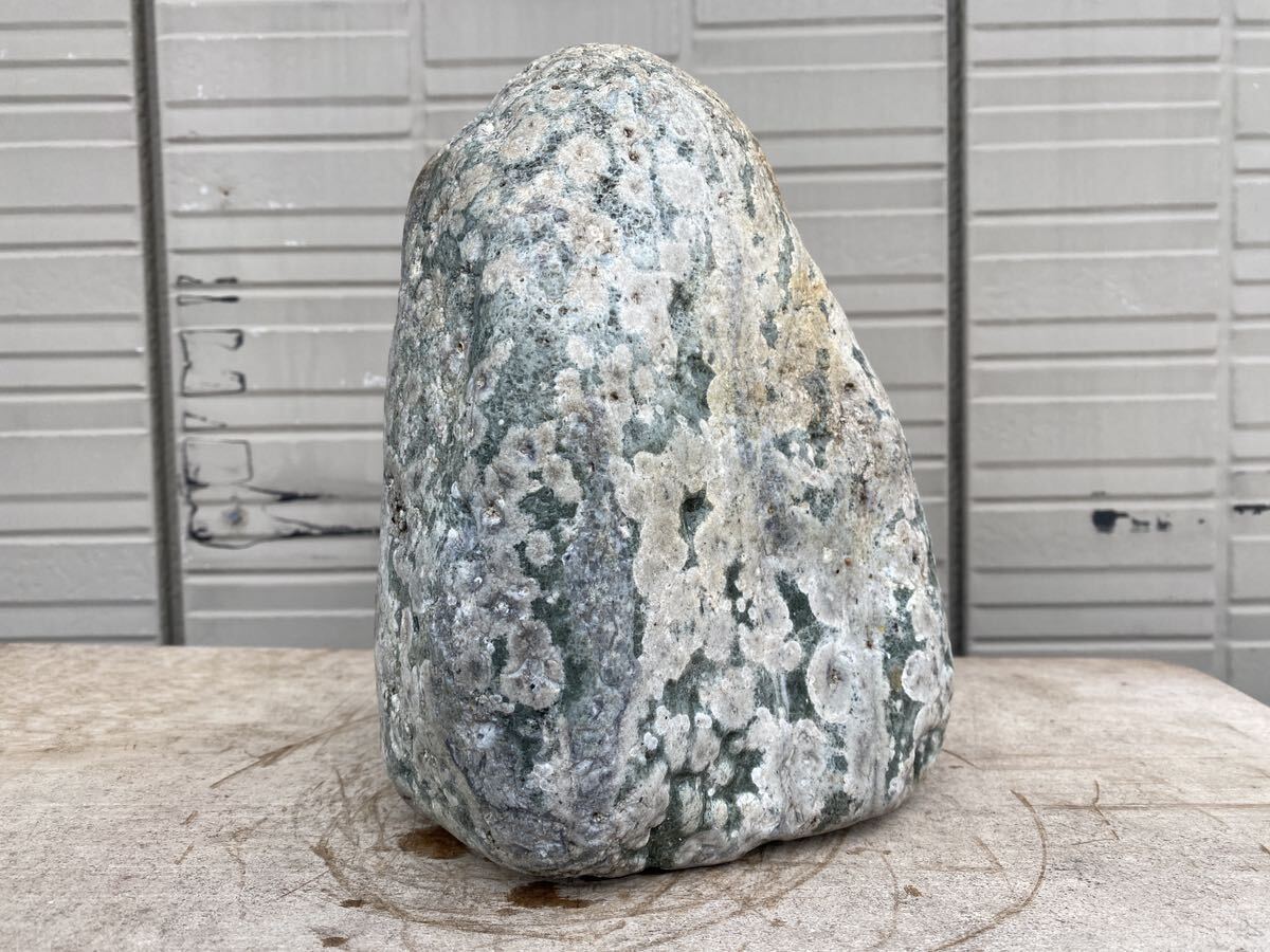 【A0024】4kg　紋石　模様石　化石　水石　自然石　観賞石　天然石　富山_画像4