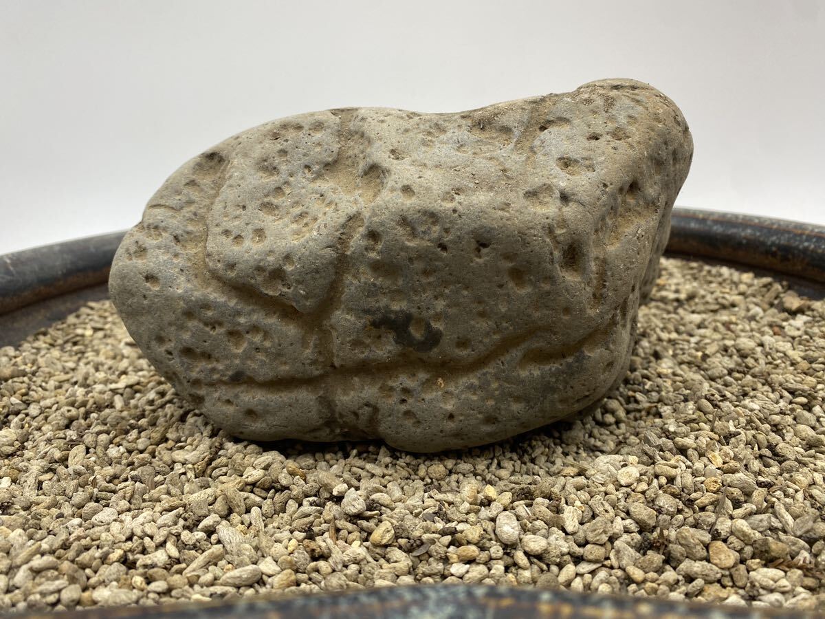 【A0025】約4kg　水石　自然石　観賞石　天然石　富山_画像3