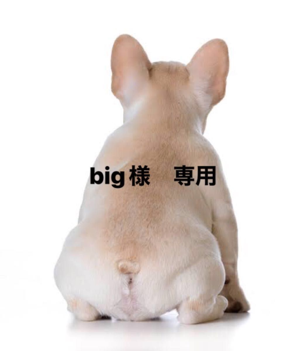 big様　専用　