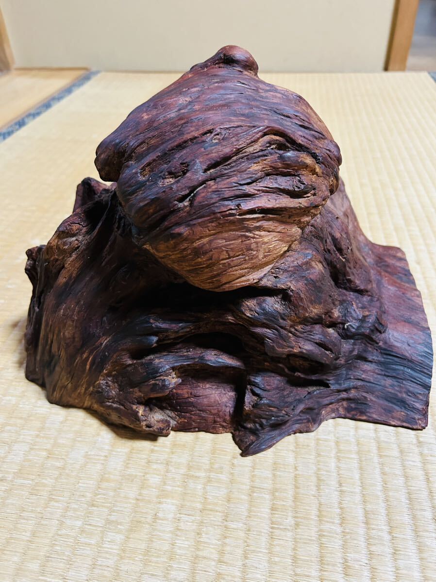 屋久杉 こぶ 5.5kg_画像3