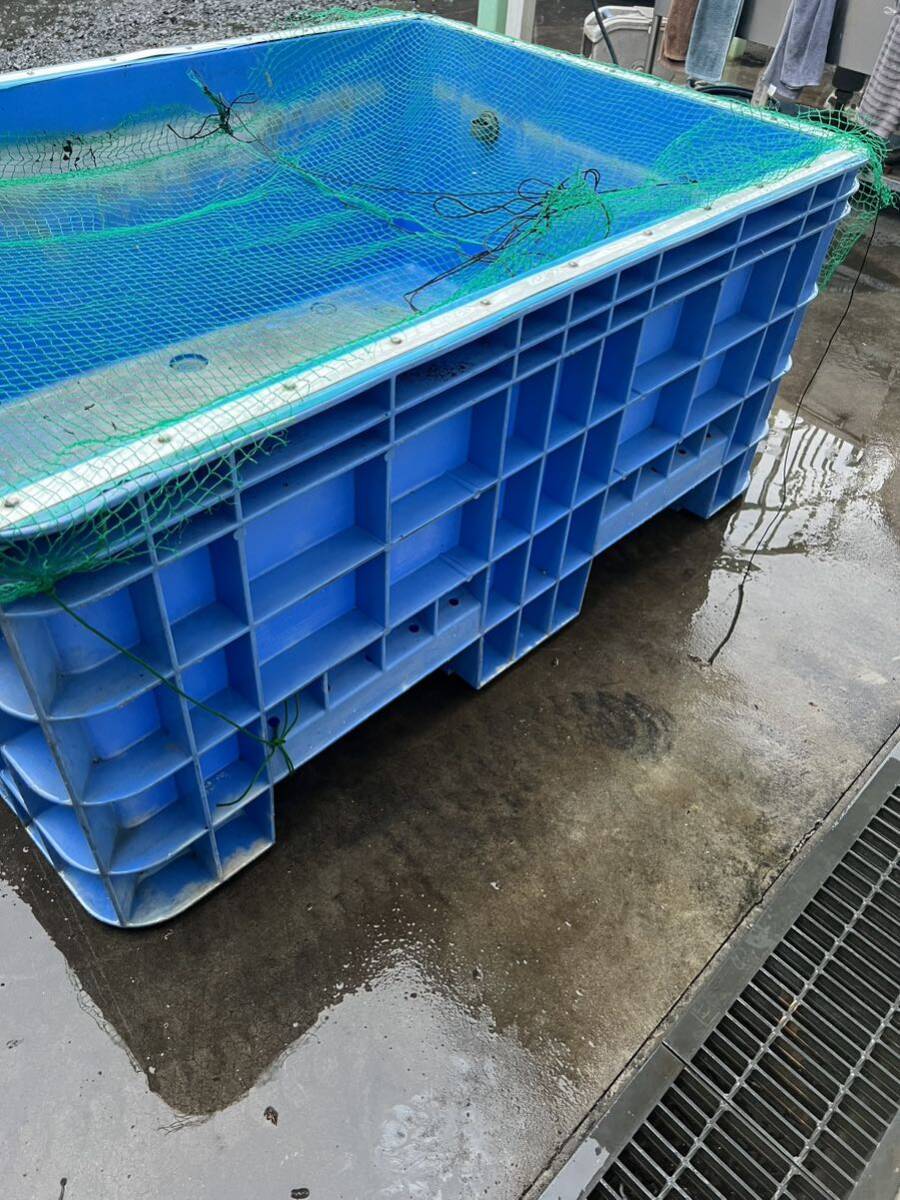 ジャンボックス サンコー 1000L ブルー サンボックス 錦鯉 金魚 大型水槽 水槽 コンテナ の画像3