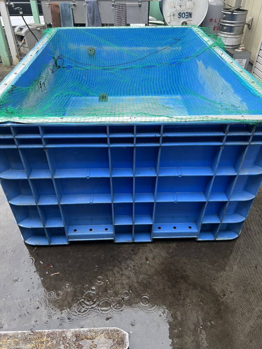ジャンボックス サンコー 1000L ブルー サンボックス 錦鯉 金魚 大型水槽 水槽 コンテナ の画像2