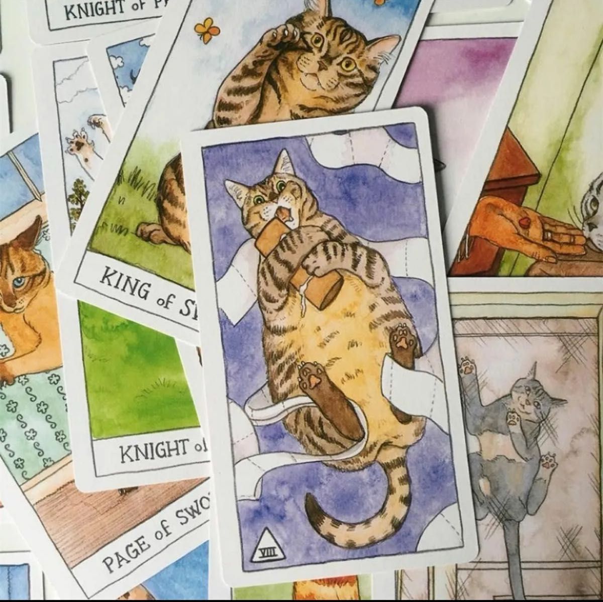 新品 CAT TAROT オラクル 可愛い猫のタロットカード 占い イラスト