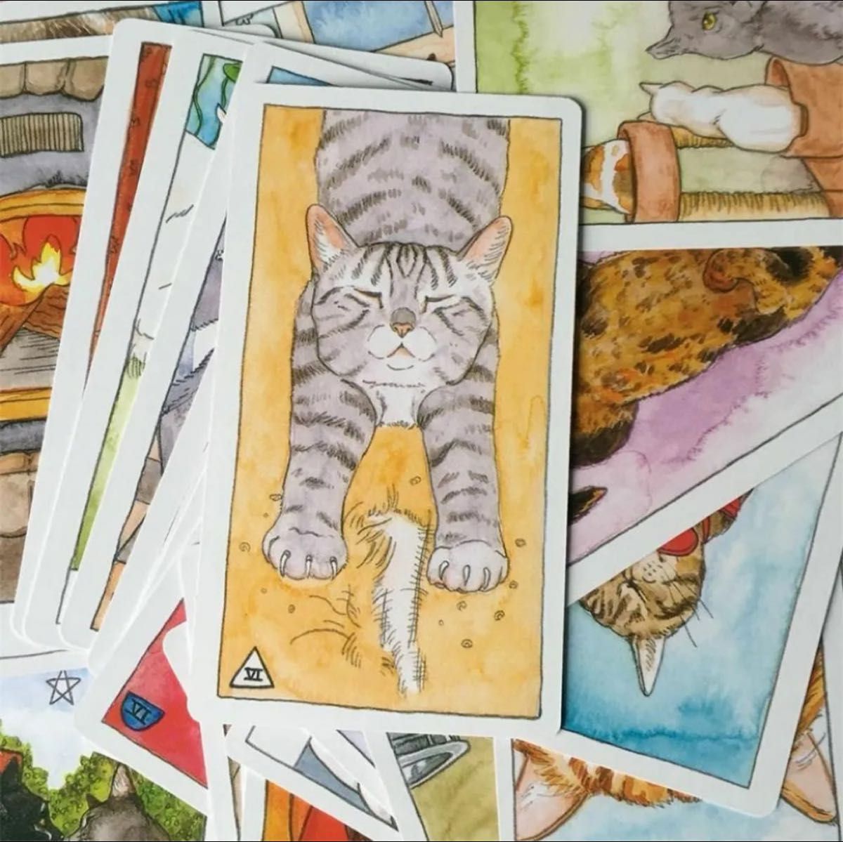 新品 CAT TAROT オラクル 可愛い猫のタロットカード 占い イラスト