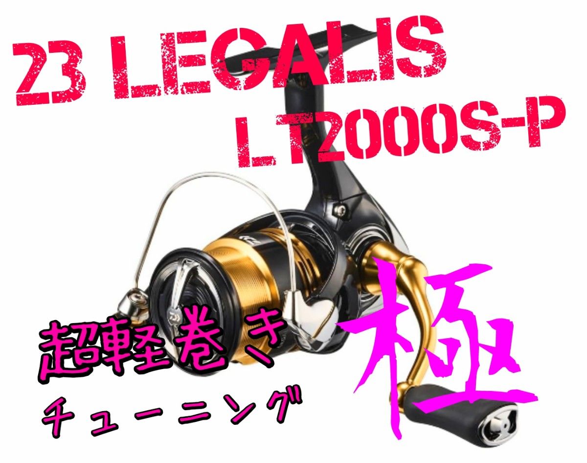 セール中【超軽巻きチューニング 極】23 レガリス LT 2000S-P