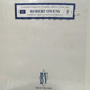 12inchレコード ROBERT OWENS / TOO MUCH FOR ME_画像1