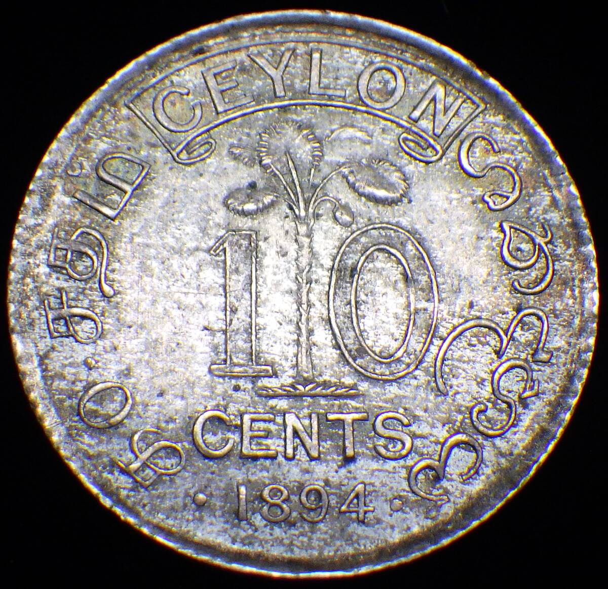 1894年 イギリス領セイロン ヴィクトリア女王 10セント銀貨_画像2