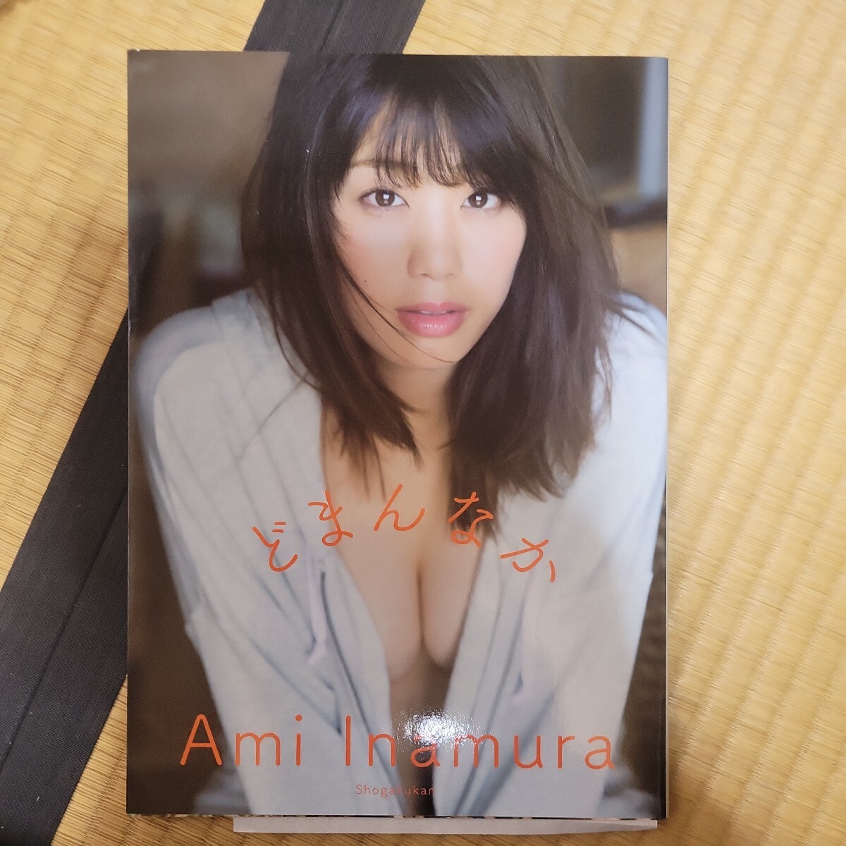 稲村亜美の直筆サイン入り写真集「どまんなか」 の画像1