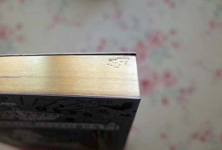 51424/海野弘 日本の装飾と文様 ほか 12冊セット マティスの切り 51424/海野弘 日本の装飾と文様 ほか 12冊セット マティスの切り