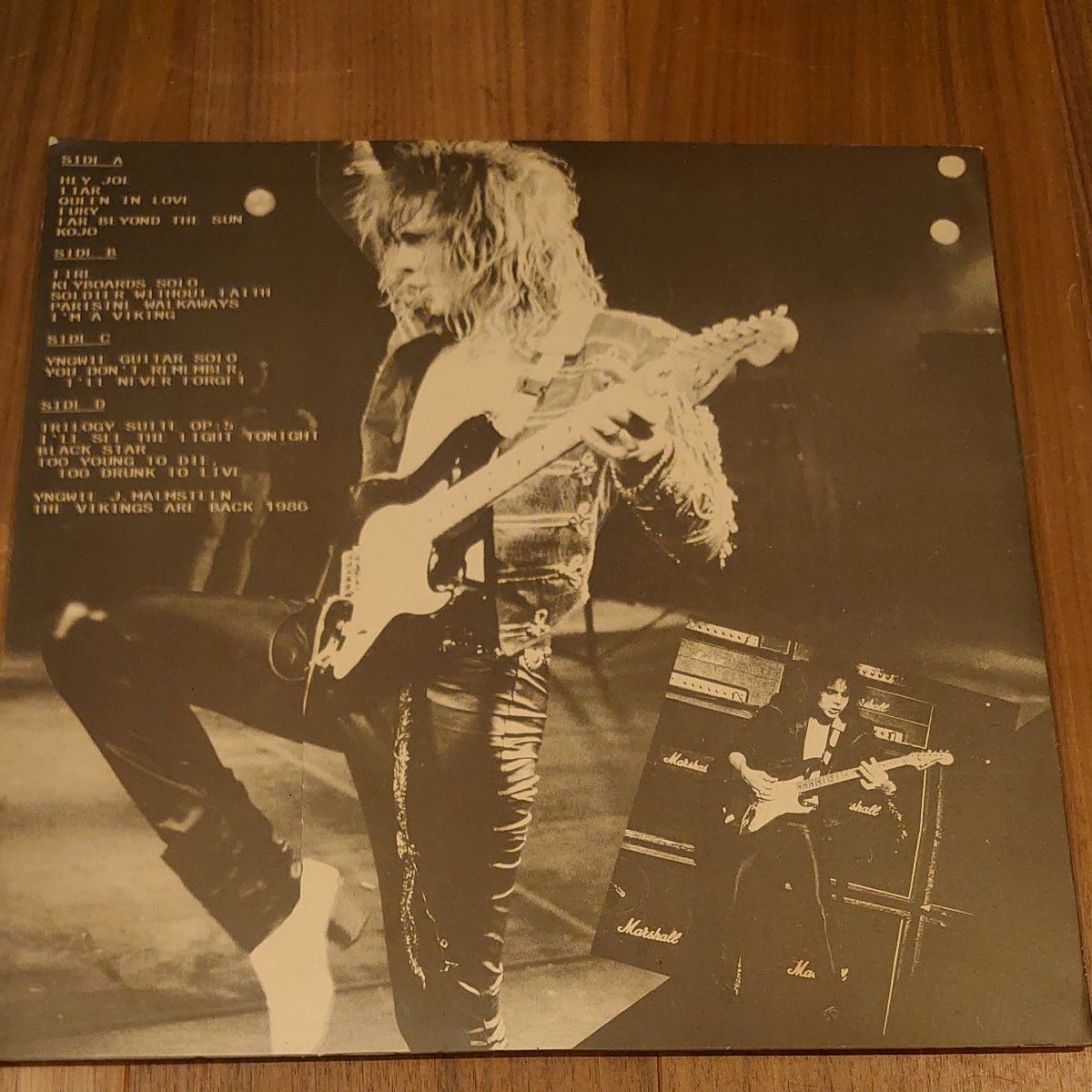 イングヴェイ・マルムスティーン Yngwie J MalmsteenThe Vikings イングヴェイ・マルムスティーン Yngwie J MalmsteenThe Vikings