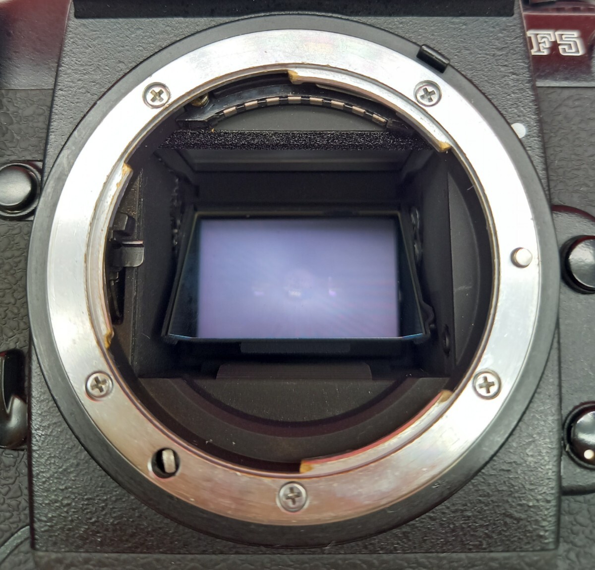 ■ Nikon F5 ボディ フィルム一眼レフカメラ 動作確認済 シャッター、露出計OK ニコンの画像7