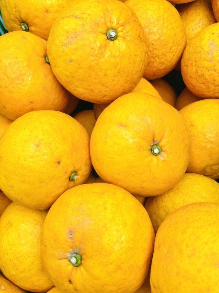 1 jpy start!! Ehime prefecture production sun fruit ( new . summer )10kg. home use....