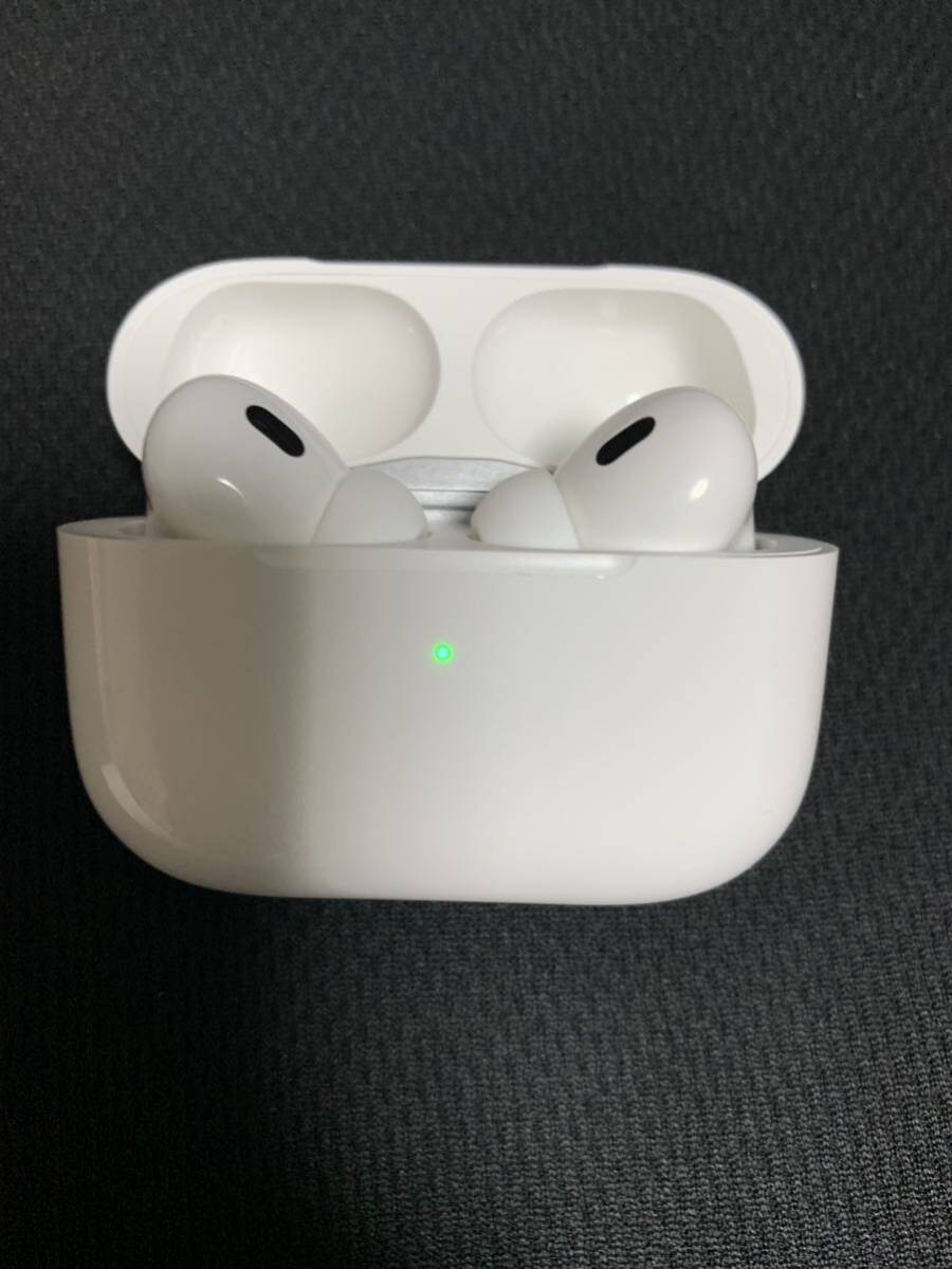 AirPods Pro _画像1