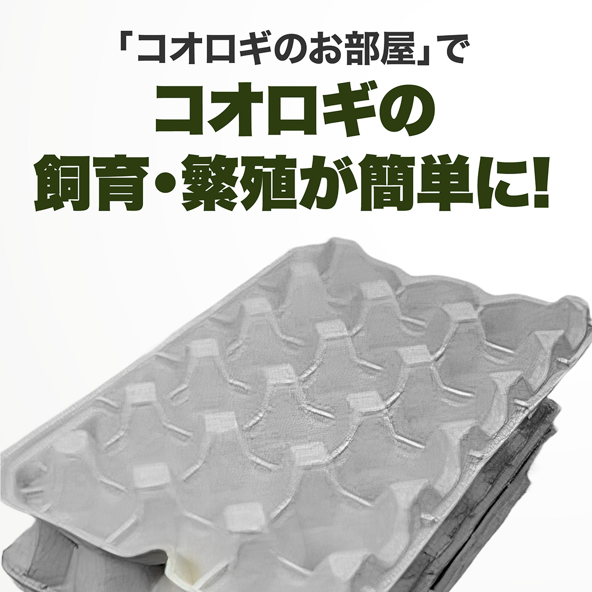 卵トレー 卵パック コオロギ 飼育 お部屋 15室5枚 卵ケース 紙 紙製 飼育 容器 ケース 生餌 デュビア レッドローチ コオロギのお部屋_画像4