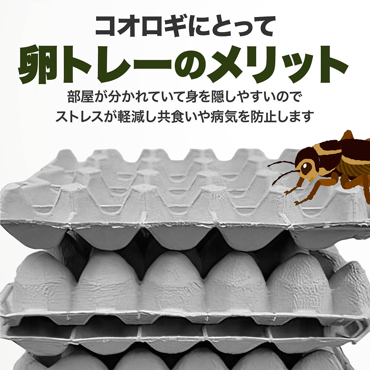  egg tray egg pack koorogi breeding . part shop 15.5 sheets egg case paper paper made breeding container case raw bait te. Via re draw chikoorogi. . part shop 