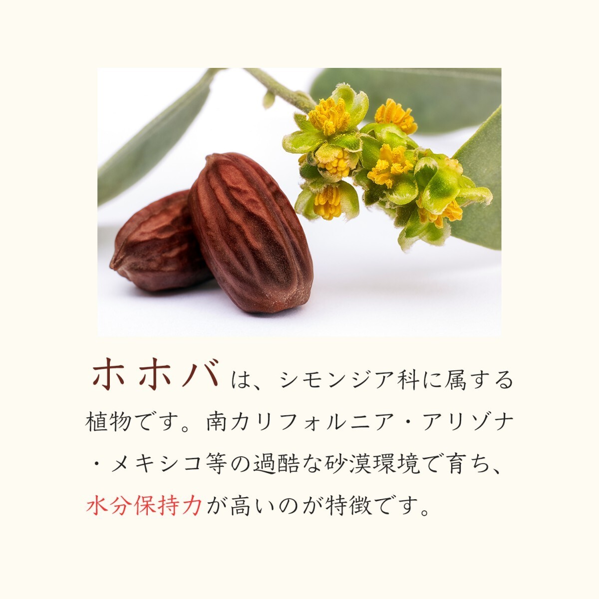 無添加 未精製 ゴールデン ホホバオイル オーガニック 100mL キャリアオイル JOJOBA OIL_画像4