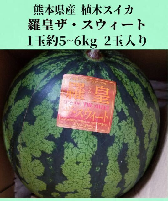 [ бесплатная доставка *1 старт!!] Kumamoto префектура производство растение арбуз .. The * Suite 1 шар примерно 5~6kg 2 шар ввод для бытового использования 