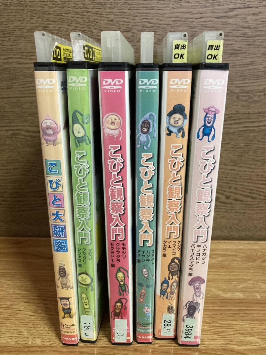 こびと観察入門 DVD 6巻セット ハナガシラ マモリ モモジリ こびと観察入門 DVD 6巻セット ハナガシラ マモリ モモジリ